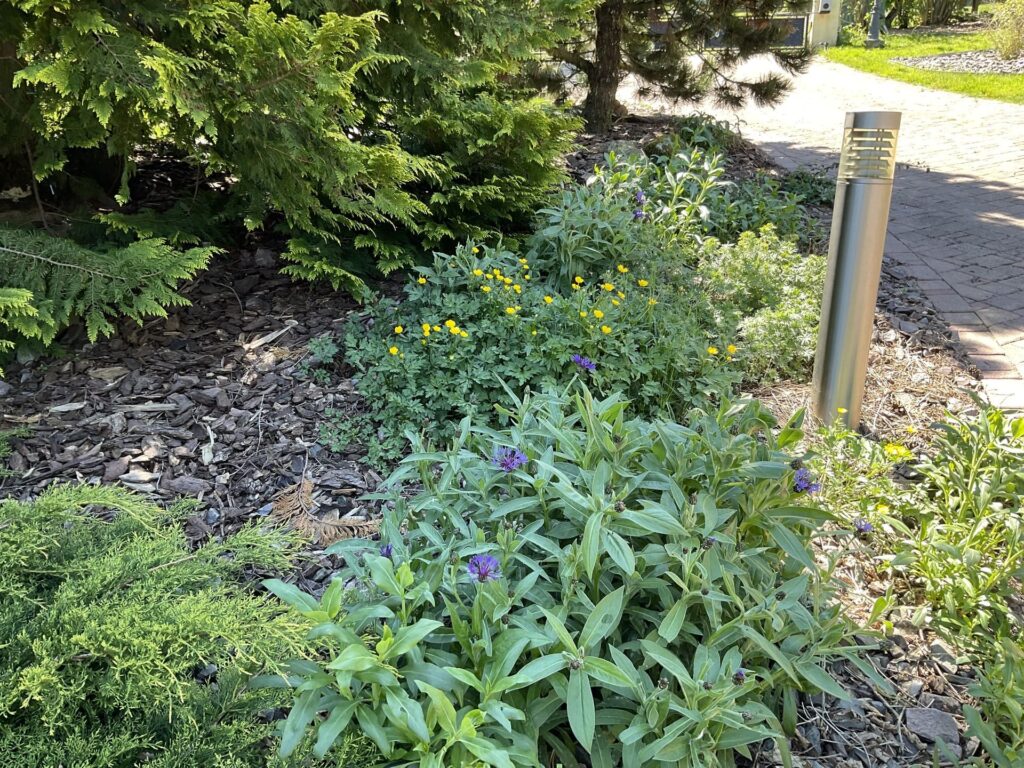 Exemple de jardinage. Prestation de Bricoleur à domicile Bas-Rhin