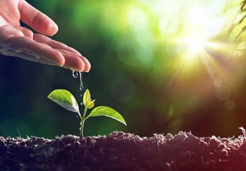 une plante qui pousse en lui donnant de l'eau à la main