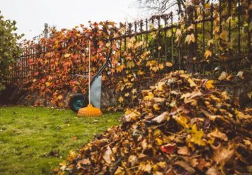 tas de feuilles mortes