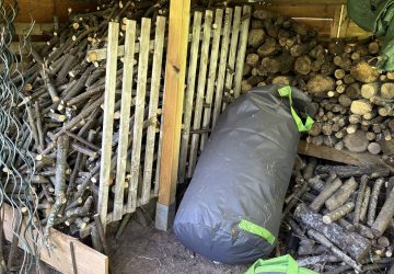 abris en bois
