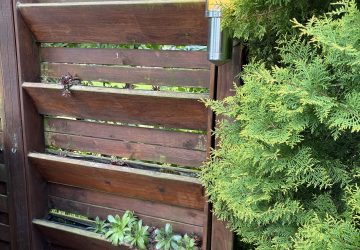 panneau en bois avec rebord pour planter des plantes