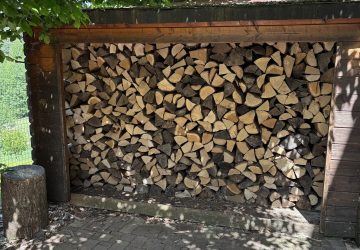 abri avec buches de bois